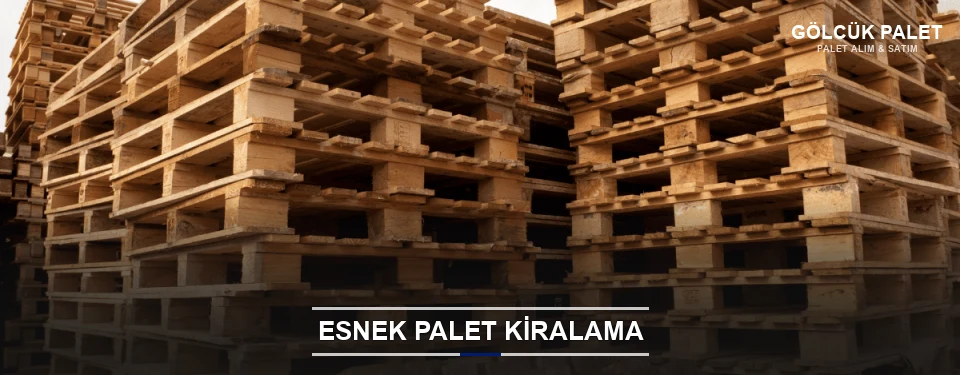 Gölcük Uygun Fiyatlı Palet Kiralama